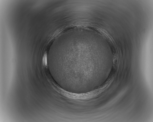 X0000115440046200911121132