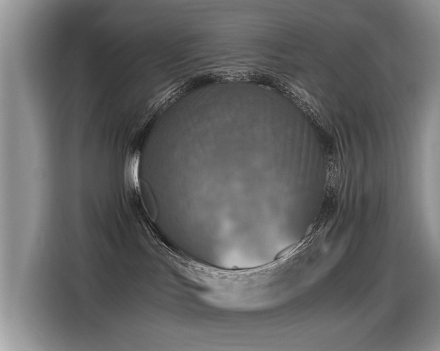 X0000115440047200911121132
