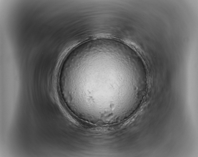 X0000115440049200911121131