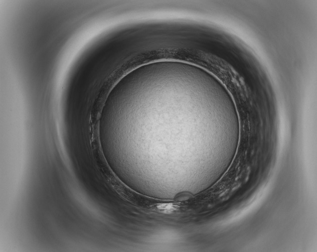 X0000115440050200911121131