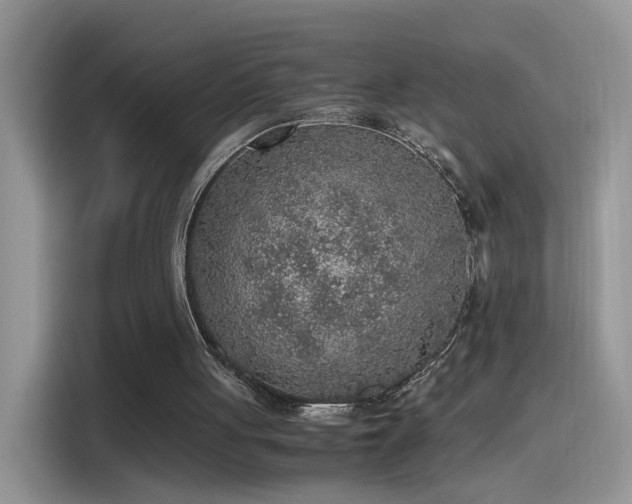 X0000115440051200911121131