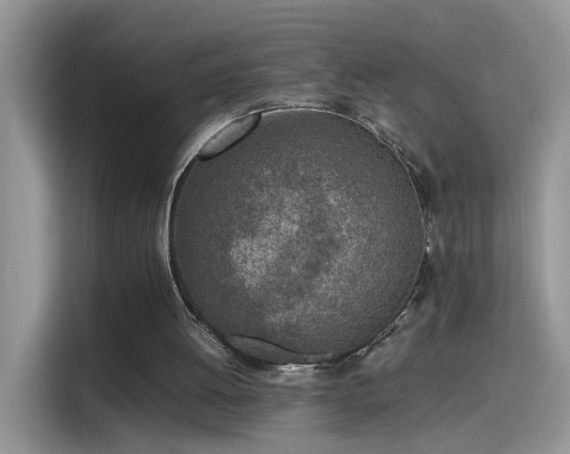 X0000115440052200911121131