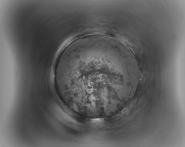 X0000115440053200911121131