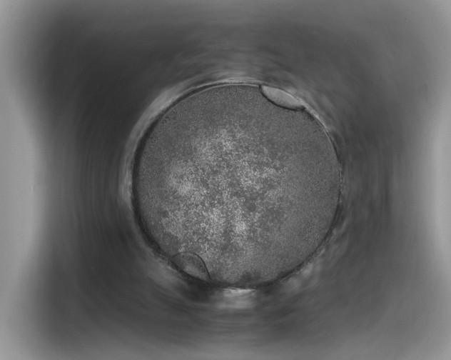 X0000115440055200911121131