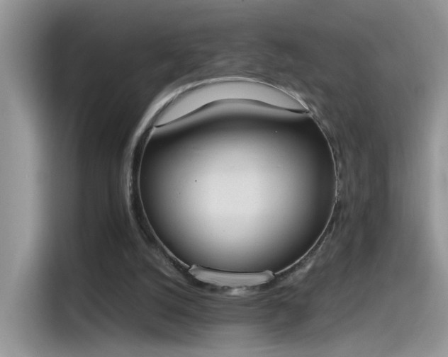 X0000115440056200911121131