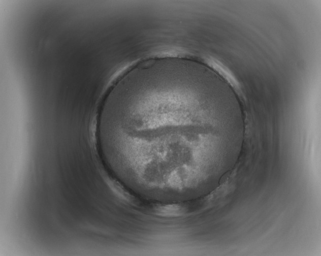 X0000115440058200911121131