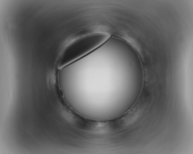 X0000115440060200911121131
