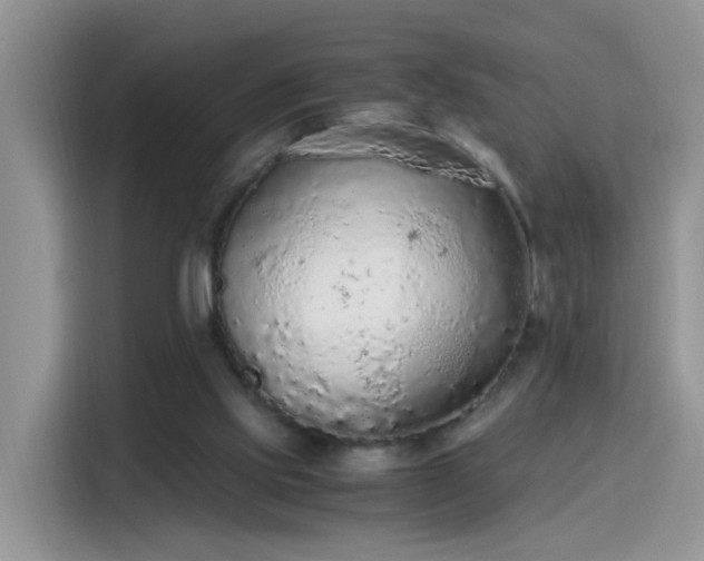 X0000115440061200911121131