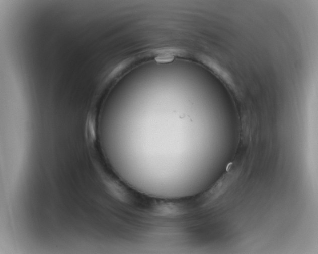 X0000115440062200911121131
