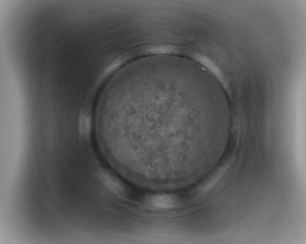 X0000115440063200911121131