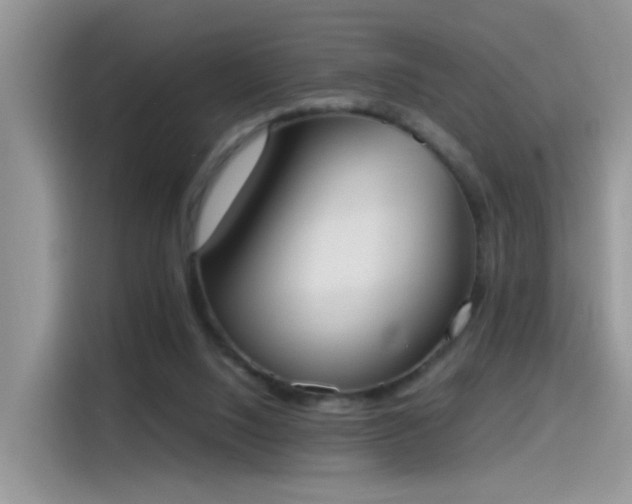 X0000115440064200911121131