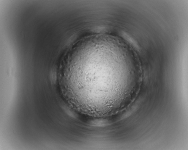 X0000115440065200911121131