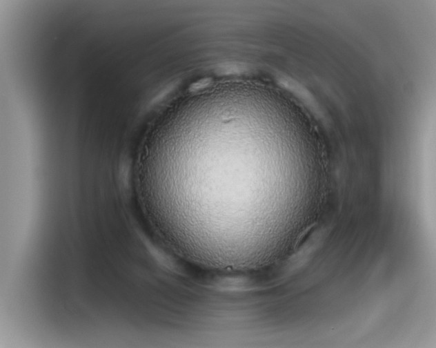 X0000115440066200911121131