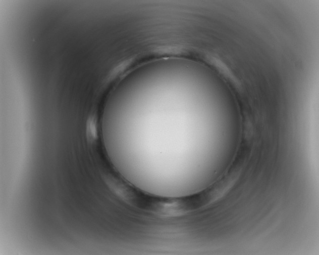 X0000115440068200911121131