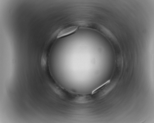 X0000115440072200911121131