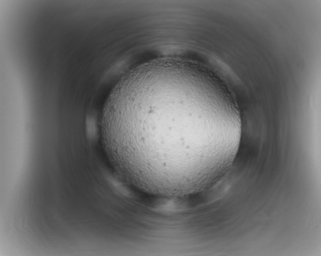 X0000115440074200911121131