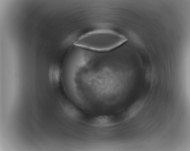 X0000115440076200911121131