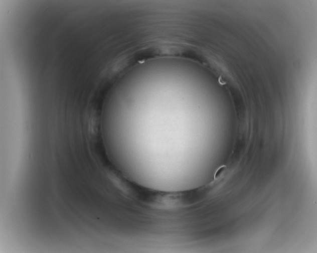 X0000115440078200911121131