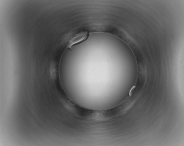 X0000115440080200911121132