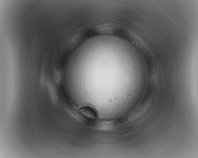 X0000115440081200911121132