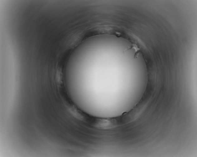 X0000115440083200911121132
