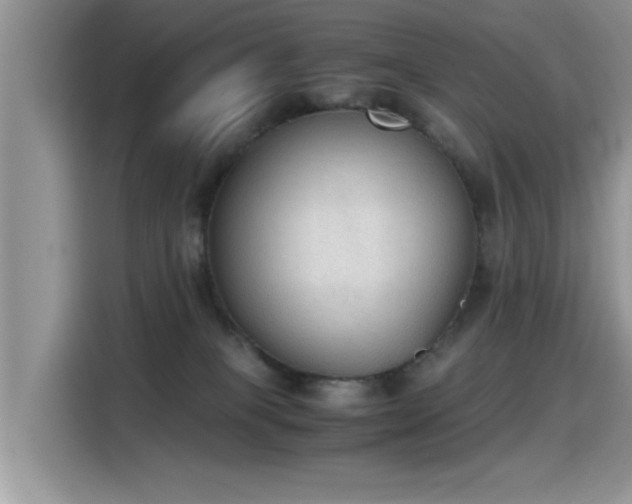 X0000115440085200911121132