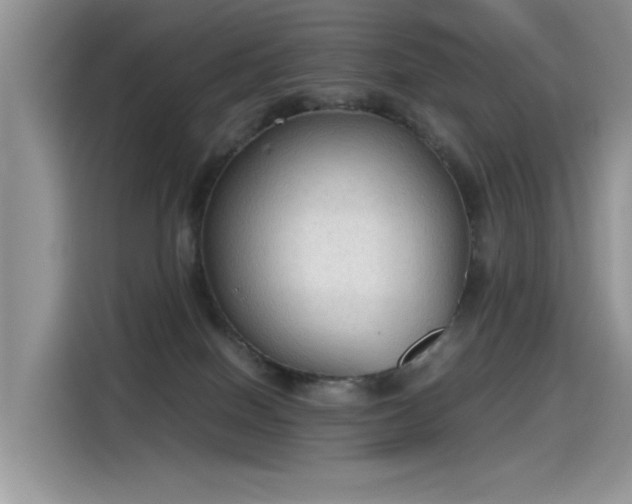 X0000115440086200911121132