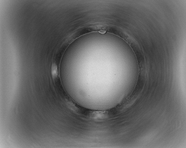 X0000115440089200911121132