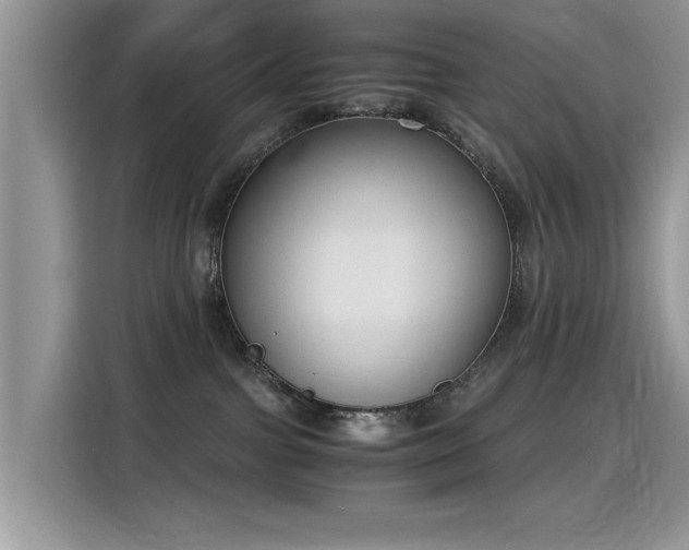 X0000115440091200911121132