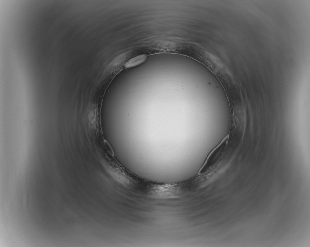 X0000115440092200911121132