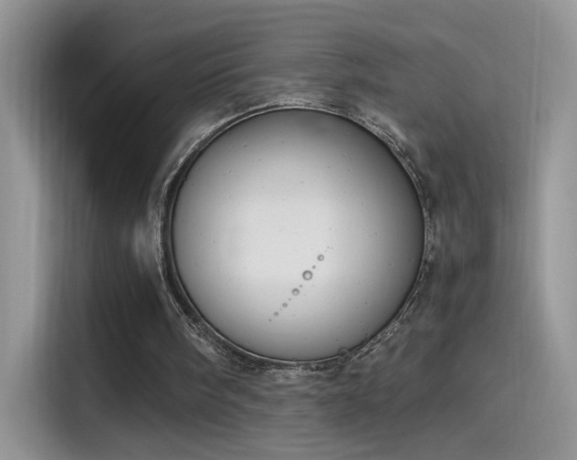 X0000115440098200911121131