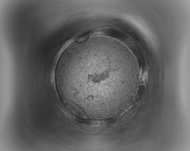 X0000115440099200911121131