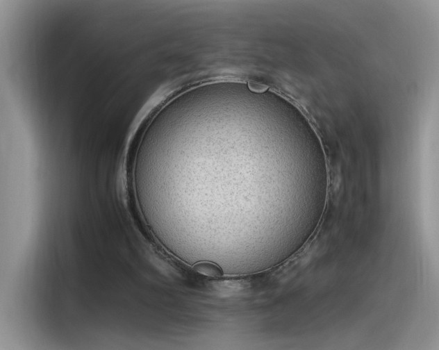 X0000115440102200911121131