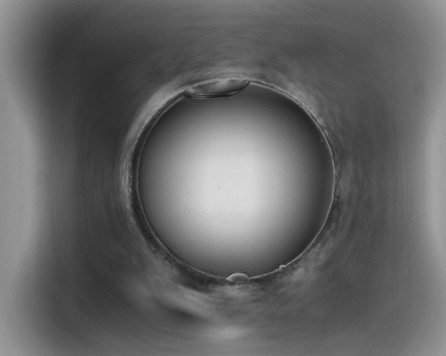 X0000115440103200911121131