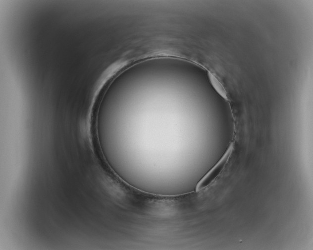 X0000115440104200911121131