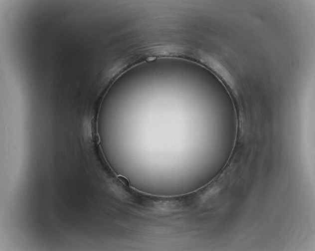 X0000115440105200911121131