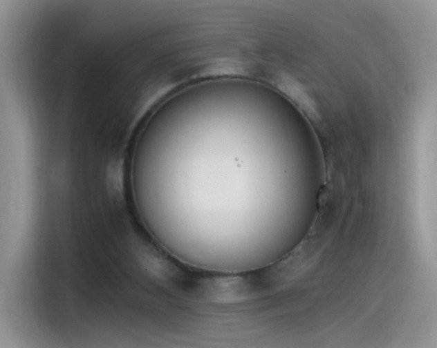 X0000115440108200911121131