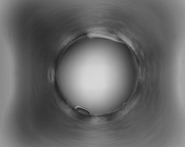 X0000115440109200911121131