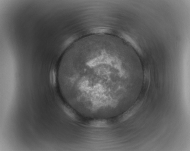 X0000115440110200911121131
