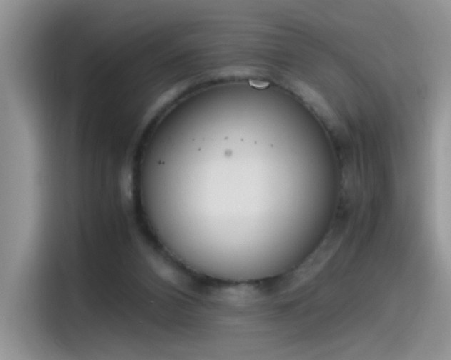 X0000115440112200911121131