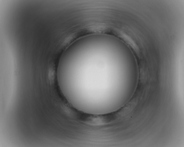 X0000115440113200911121131