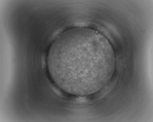 X0000115440114200911121131