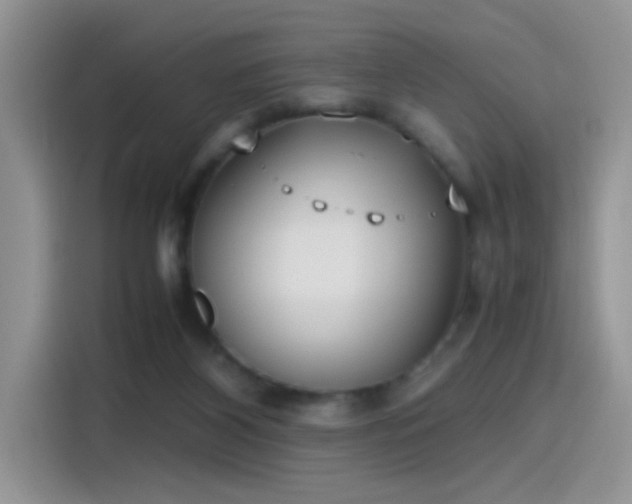 X0000115440116200911121131