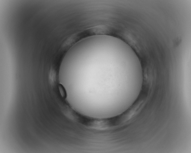 X0000115440117200911121131