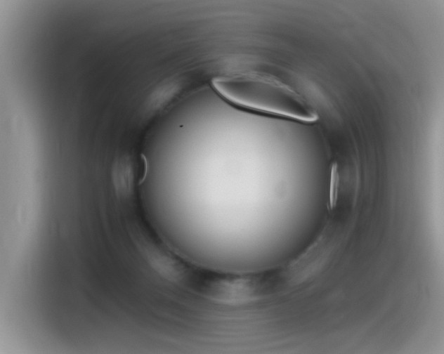 X0000115440120200911121131