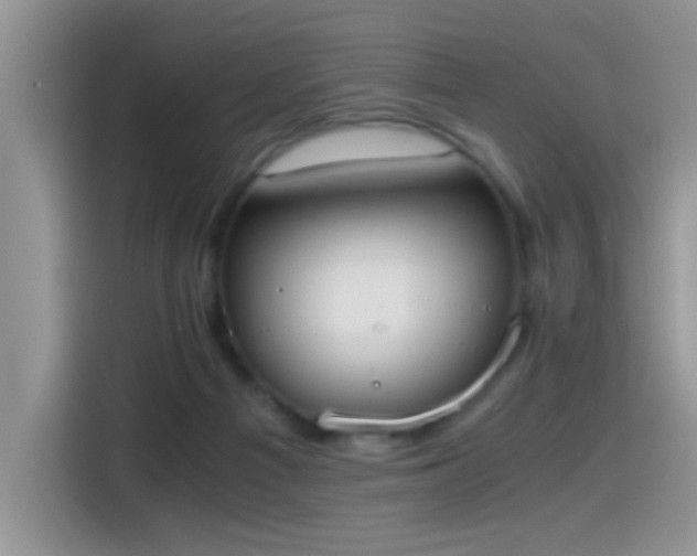X0000115440121200911121131