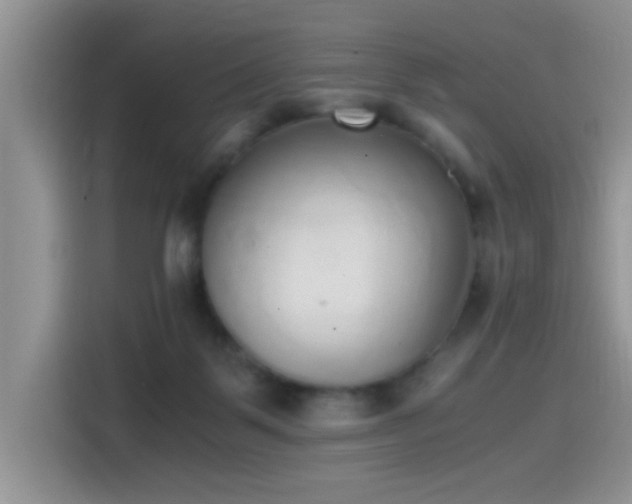 X0000115440123200911121131