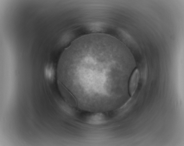X0000115440124200911121131