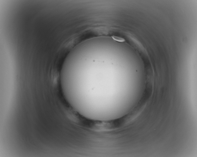 X0000115440125200911121131