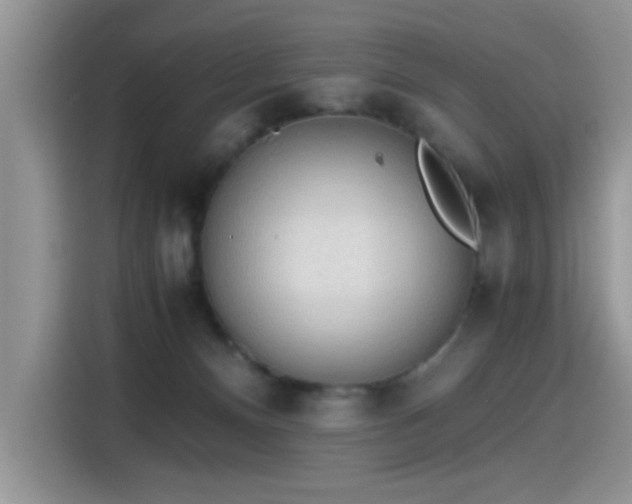 X0000115440128200911121131